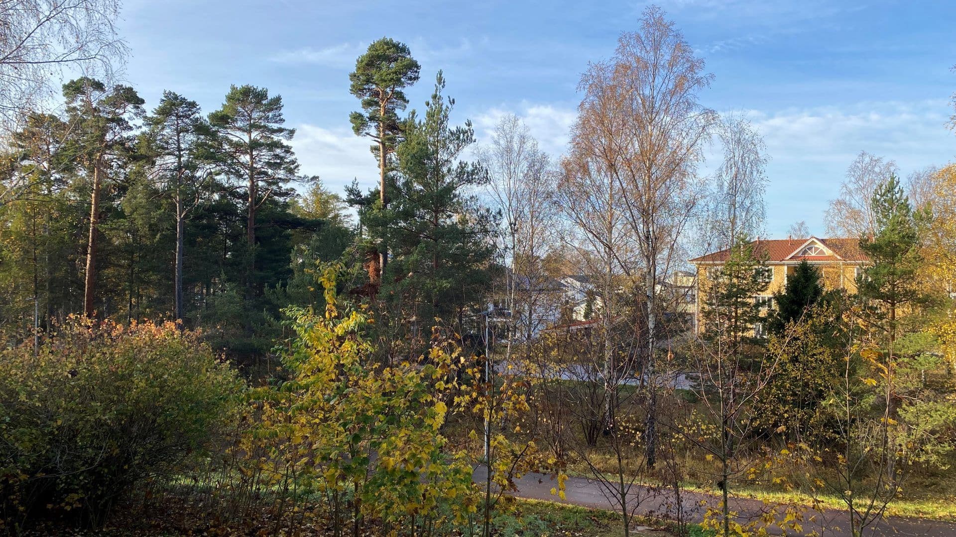 Måsvägen 2, Bild 6 av 12